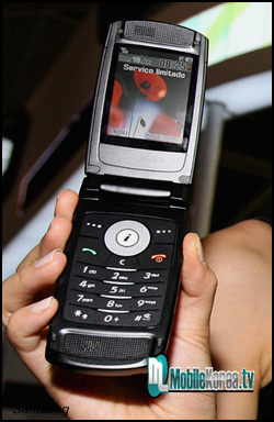 Samsung SGH-D830